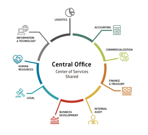 Shared Service Center Infographic